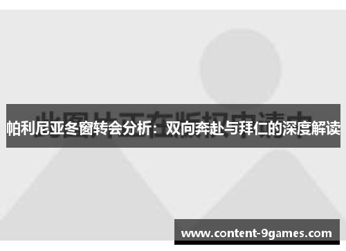 帕利尼亚冬窗转会分析：双向奔赴与拜仁的深度解读
